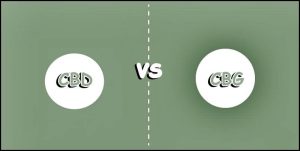 explore the key differences between cbg and cbd, two prominent cannabinoids found in hemp. discover their unique benefits, effects, and potential uses to better understand which may be right for you.