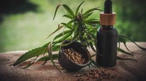 discover the benefits of koi cbd, a natural solution that promotes relaxation, relieves stress, and enhances your overall well-being. learn how koi cbd products can improve your quality of life.