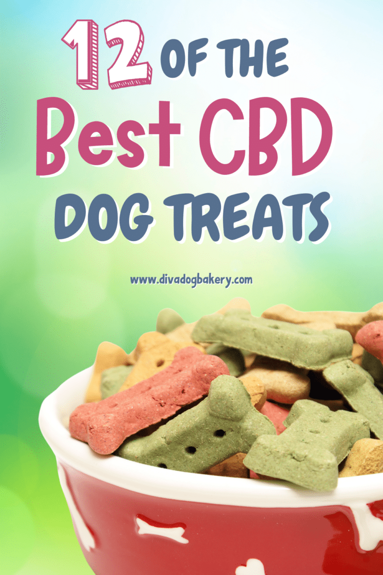 discover the benefits of cbd dog treats for your furry friend. from anxiety relief to improved joint health, find out how these natural supplements can enhance your dog's well-being and overall quality of life.